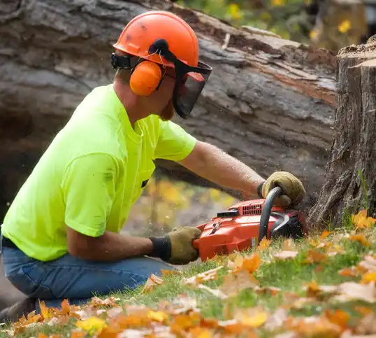 tree services Hutchinson